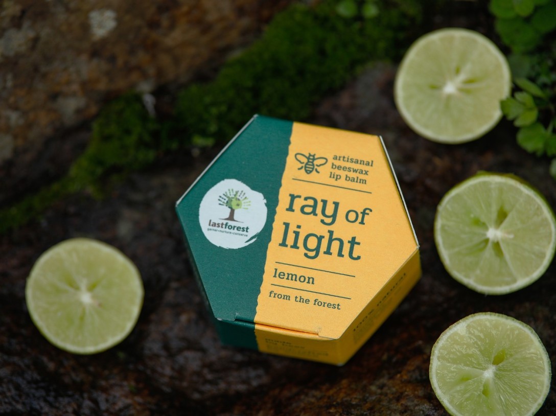 ​Last Forest 手工蜂蜡润唇膏的包装设计(图5)