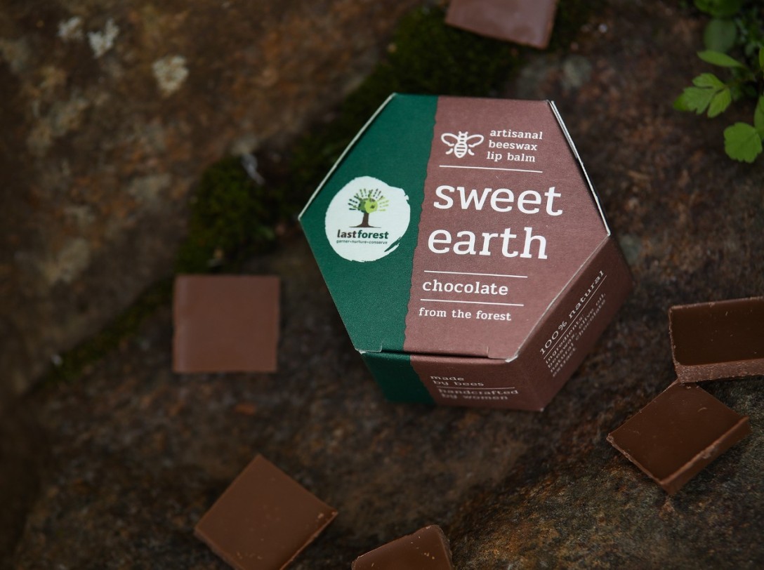 ​Last Forest 手工蜂蜡润唇膏的包装设计(图7)
