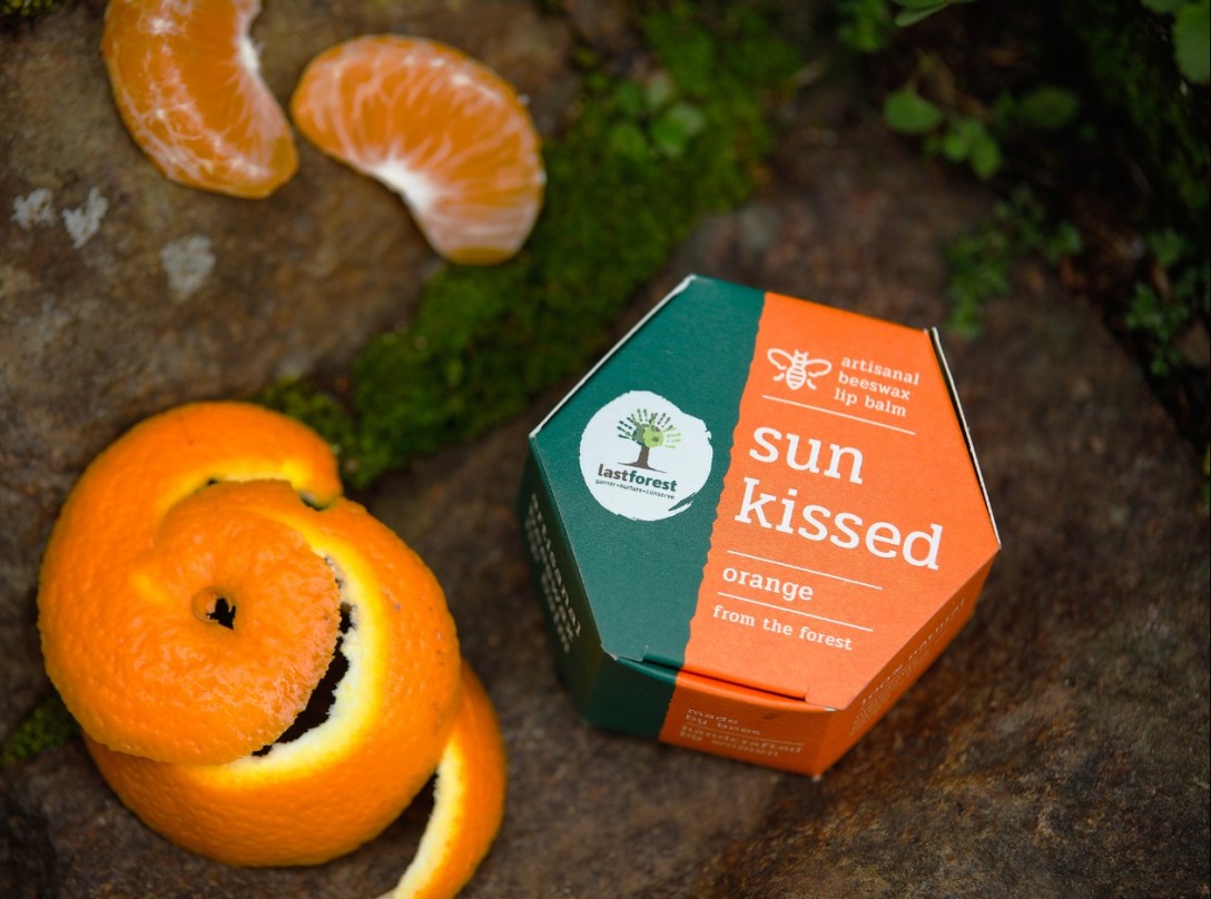 ​Last Forest 手工蜂蜡润唇膏的包装设计(图9)