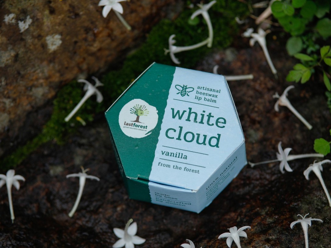 ​Last Forest 手工蜂蜡润唇膏的包装设计(图2)