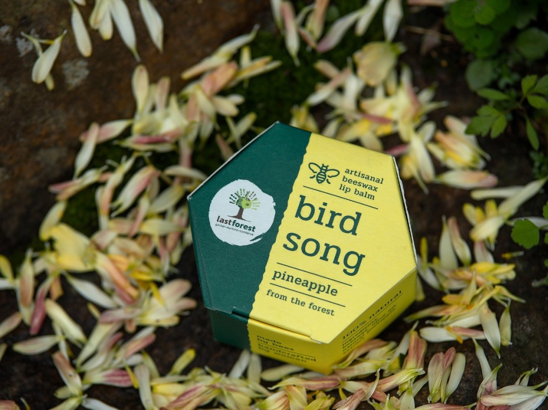 ​Last Forest 手工蜂蜡润唇膏的包装设计(图3)