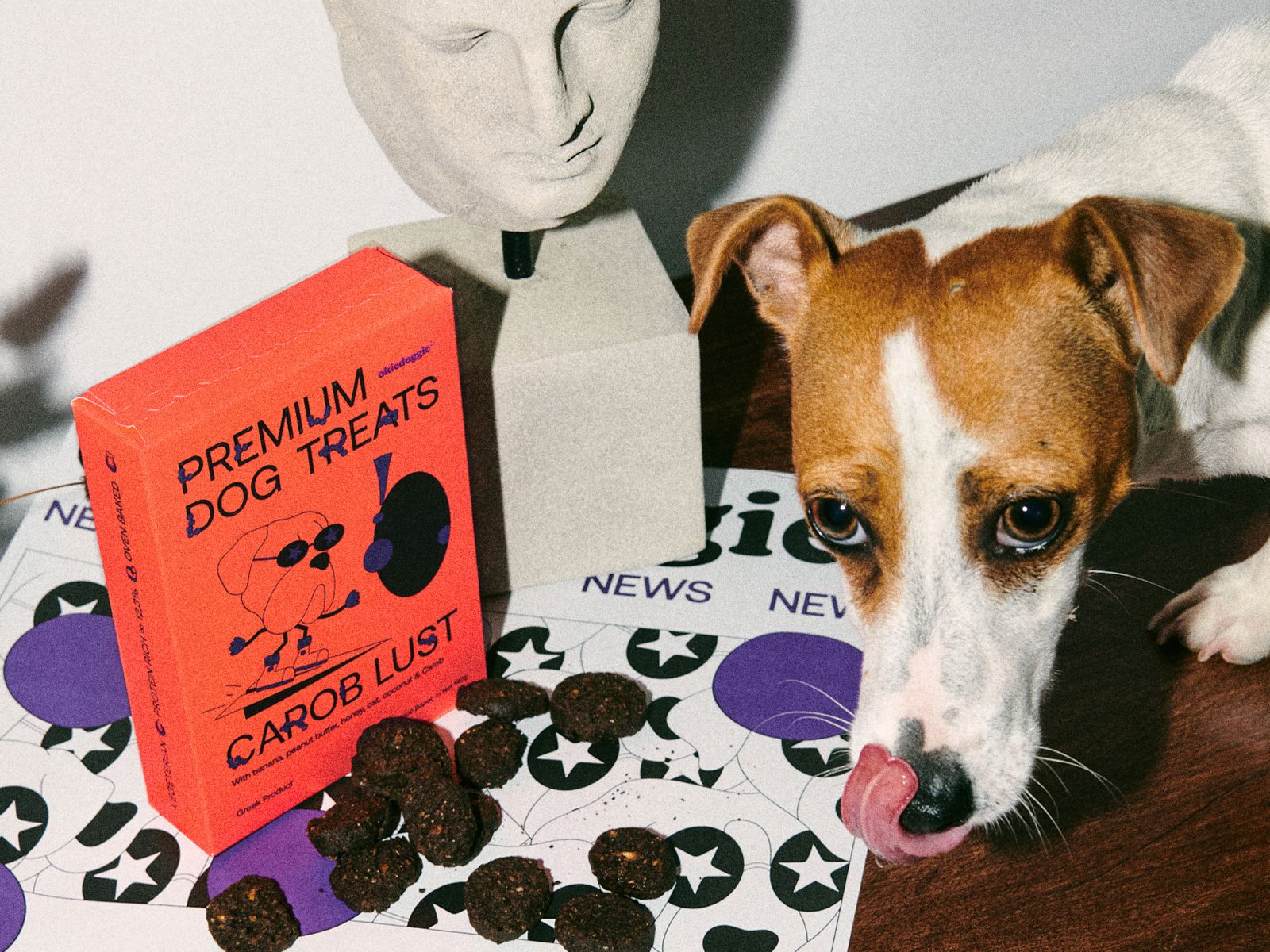 ​Okiedoggie狗零食包装设计(图4)