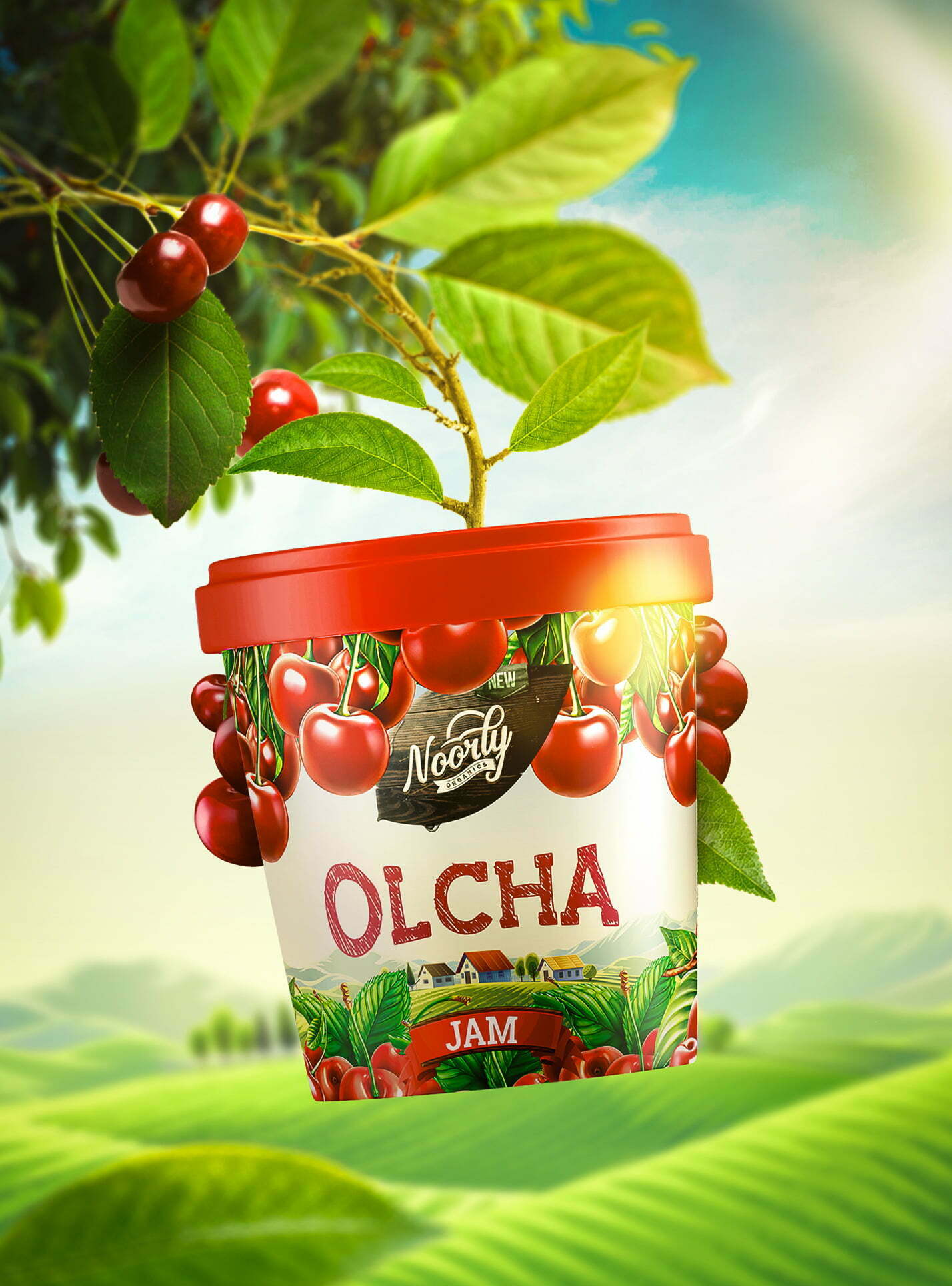 鲜艳明亮的Noorly水果酱包装设计这样做(图7)