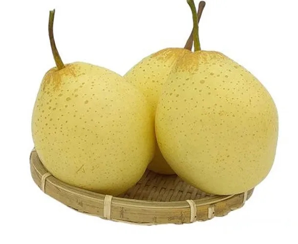 天津特产鸭梨包装怎么设计好卖货(图1)