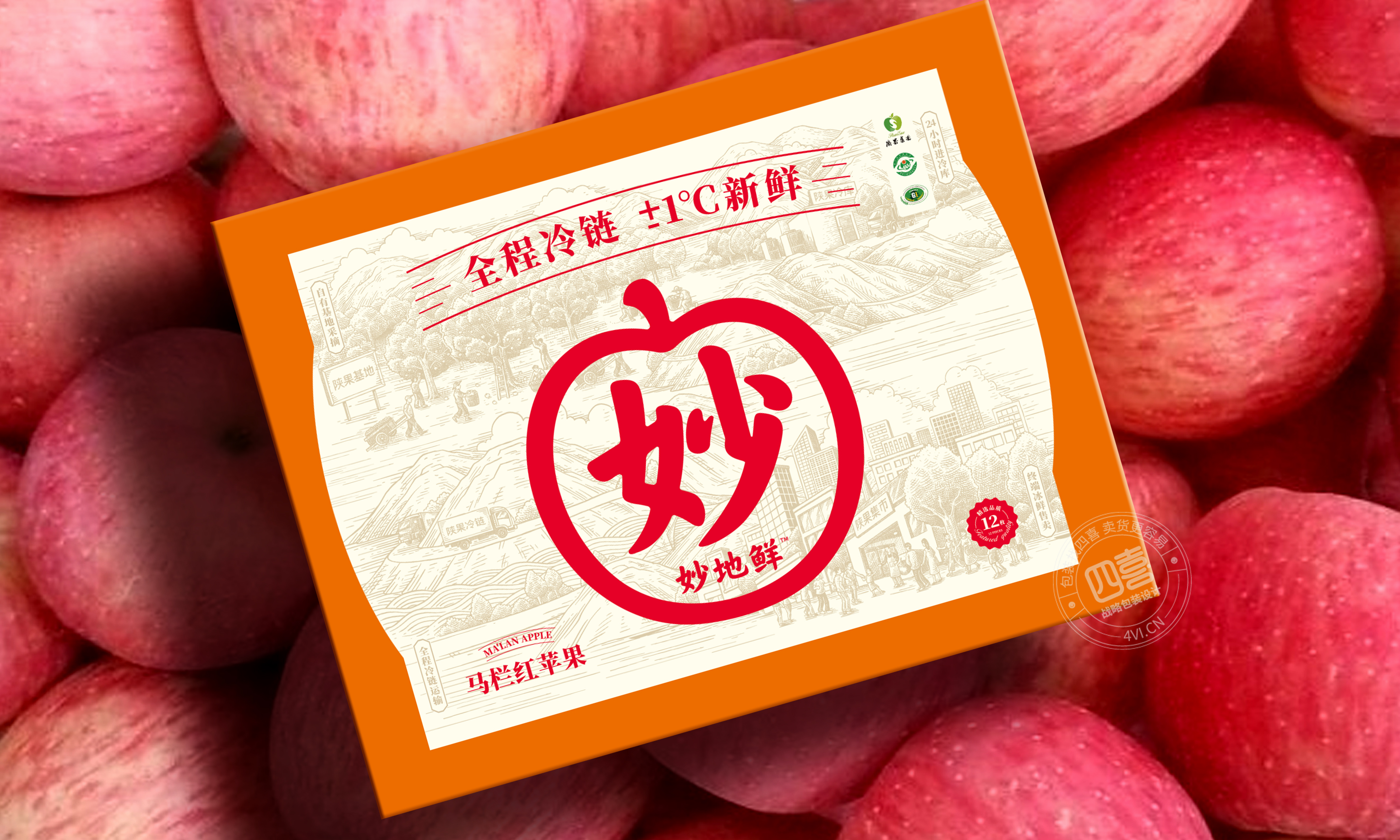 地方特产水果包装如何设计来提升销量(图2)