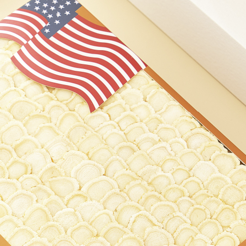 PRESIDENT BRAND 花旗參 500g保健产品包装创意设计欣赏(图4)