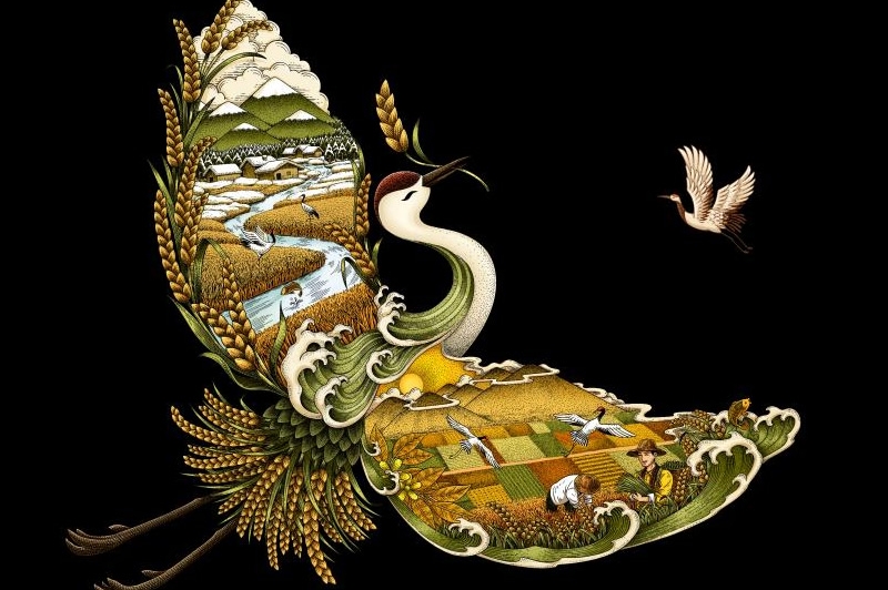 四喜如何通过包装设计，让金鹤黑珍珠大米彰显高端定位