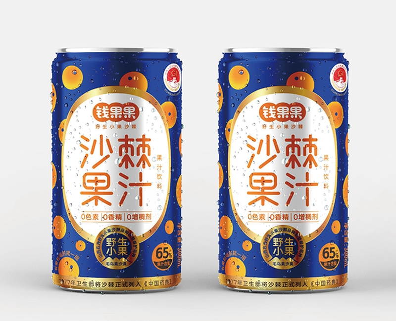 钱果果野生小果沙棘品牌包装策划设计