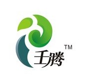 壬腾品牌logo设计欣赏与分析(图1)