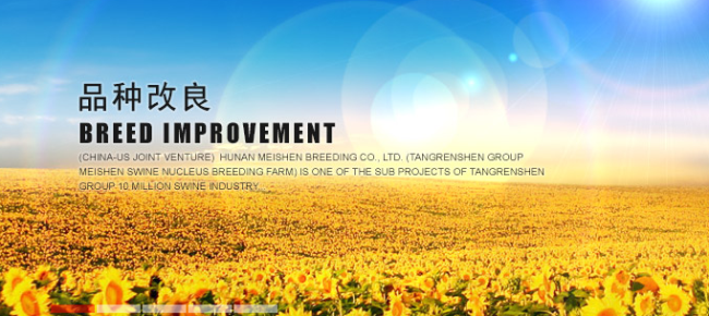 TRS唐人神品牌logo与产品包装设计欣赏(图3)