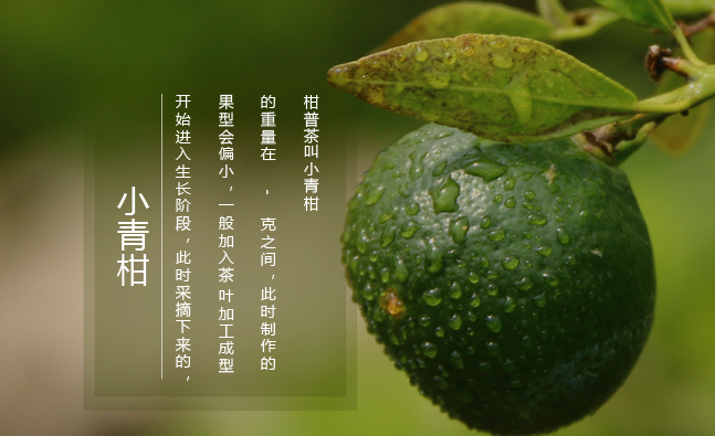 柑普人家 柑普人家食品包装设计欣赏(图2)