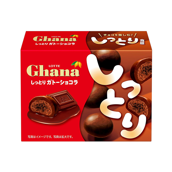 包装设计欣赏加纳＜湿润巧克力＞ (乐天) (图1)